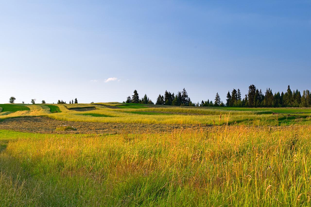 Clima Qué nos Espera este Fin de Semana en Río Tercero