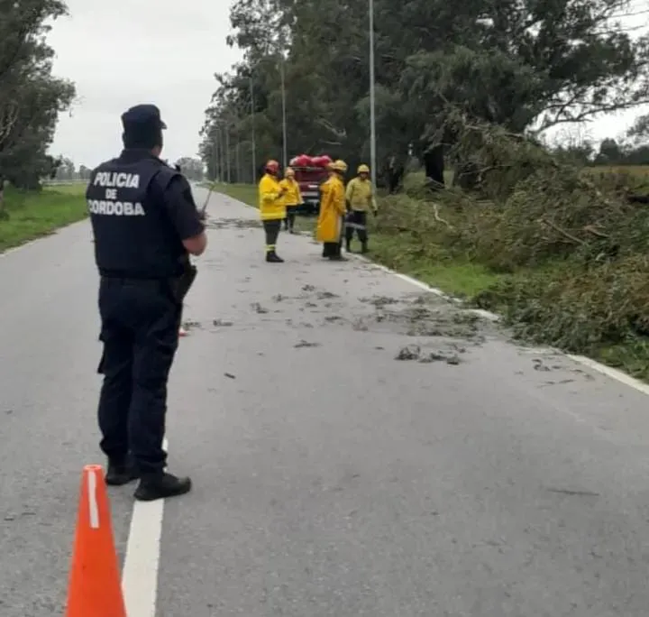 f3cb70d0-e088-4a88-81d1-3867d9e4d970