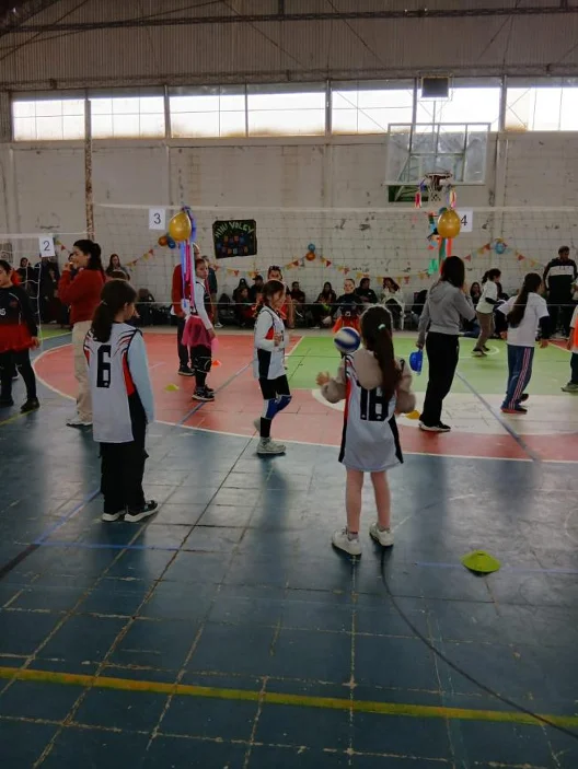 voleyyyy