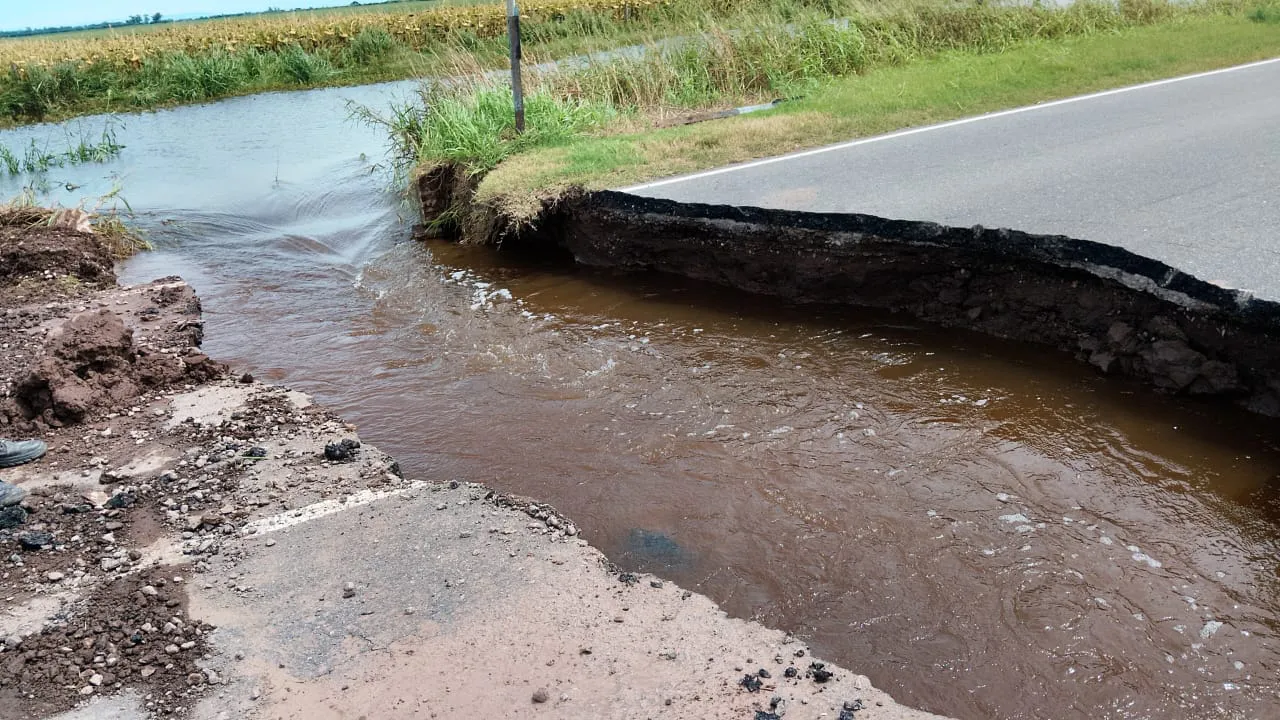 17d43c84-9e92-4534-8536-8892a6a68c65