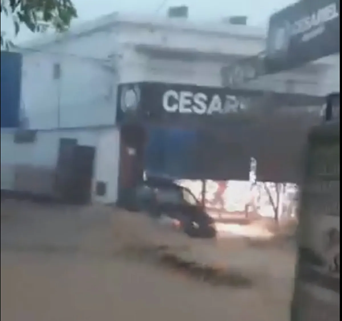 multimedia.normal.81cfaab479a1f263.VE9STUVOVEEgRU4gU0FOVEEgUk9TQSBERSBDQUwgMDFfbm9ybWFsLndlYnA=