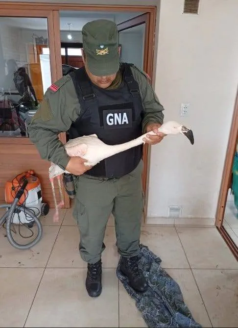 615436434_10243082918714613_3423836837400613485_n