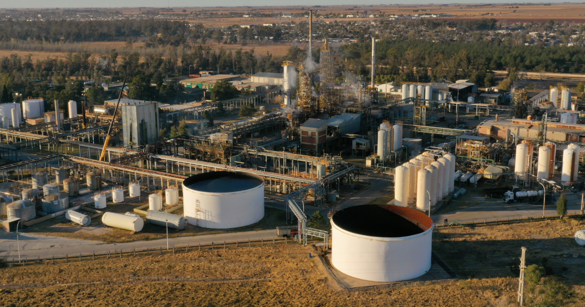 Foto planta (1200 x 630 px)