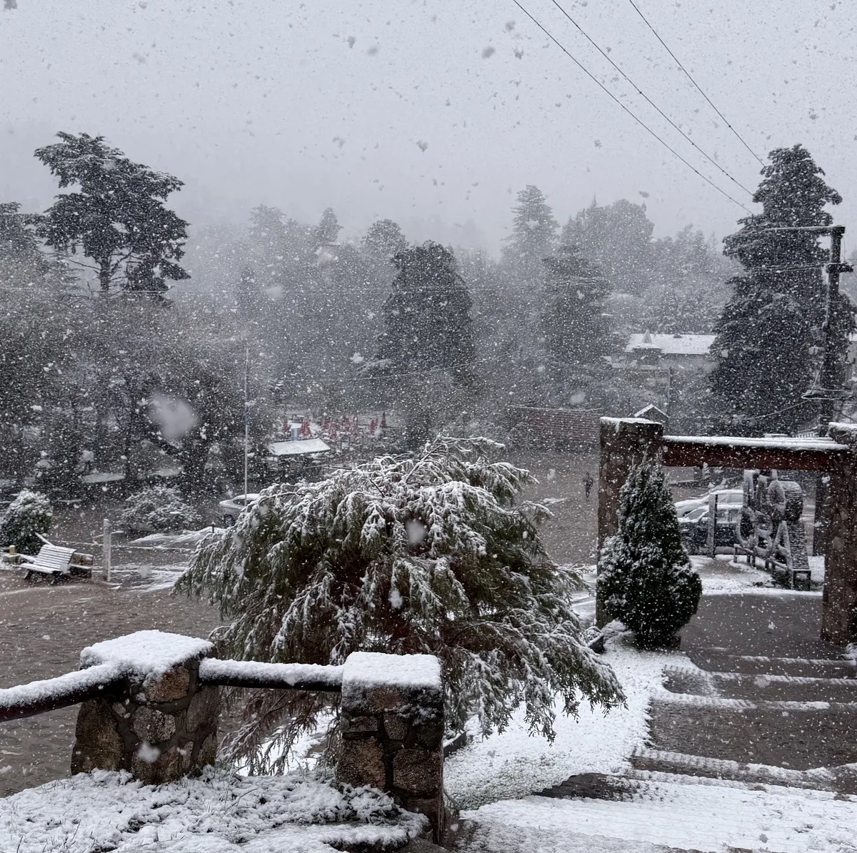 multimedia.normal.96d57b7aefe56e10.bm9ybWFsLndlYnA=