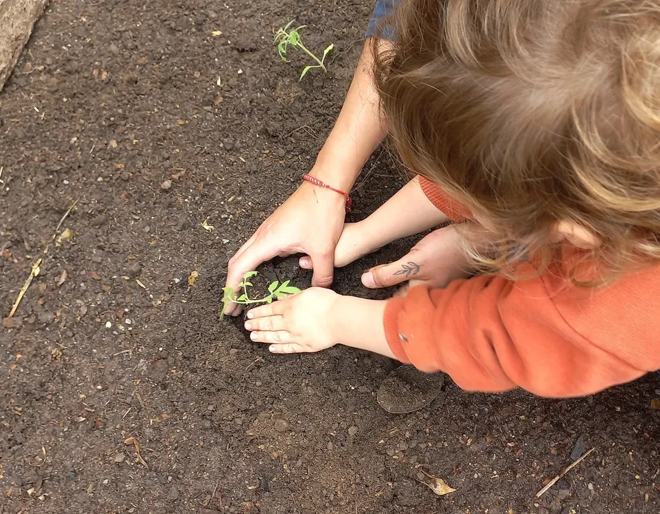 fotos escuela waldorf rio tercero (3)