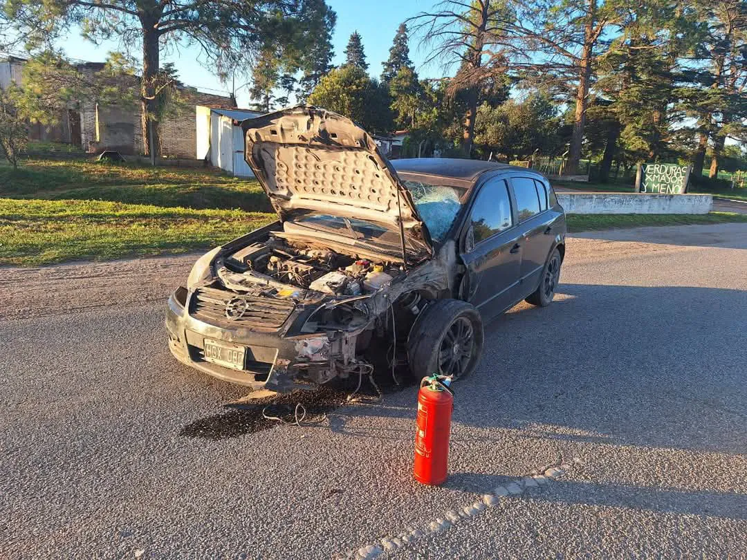 FB_IMG_1735156764693