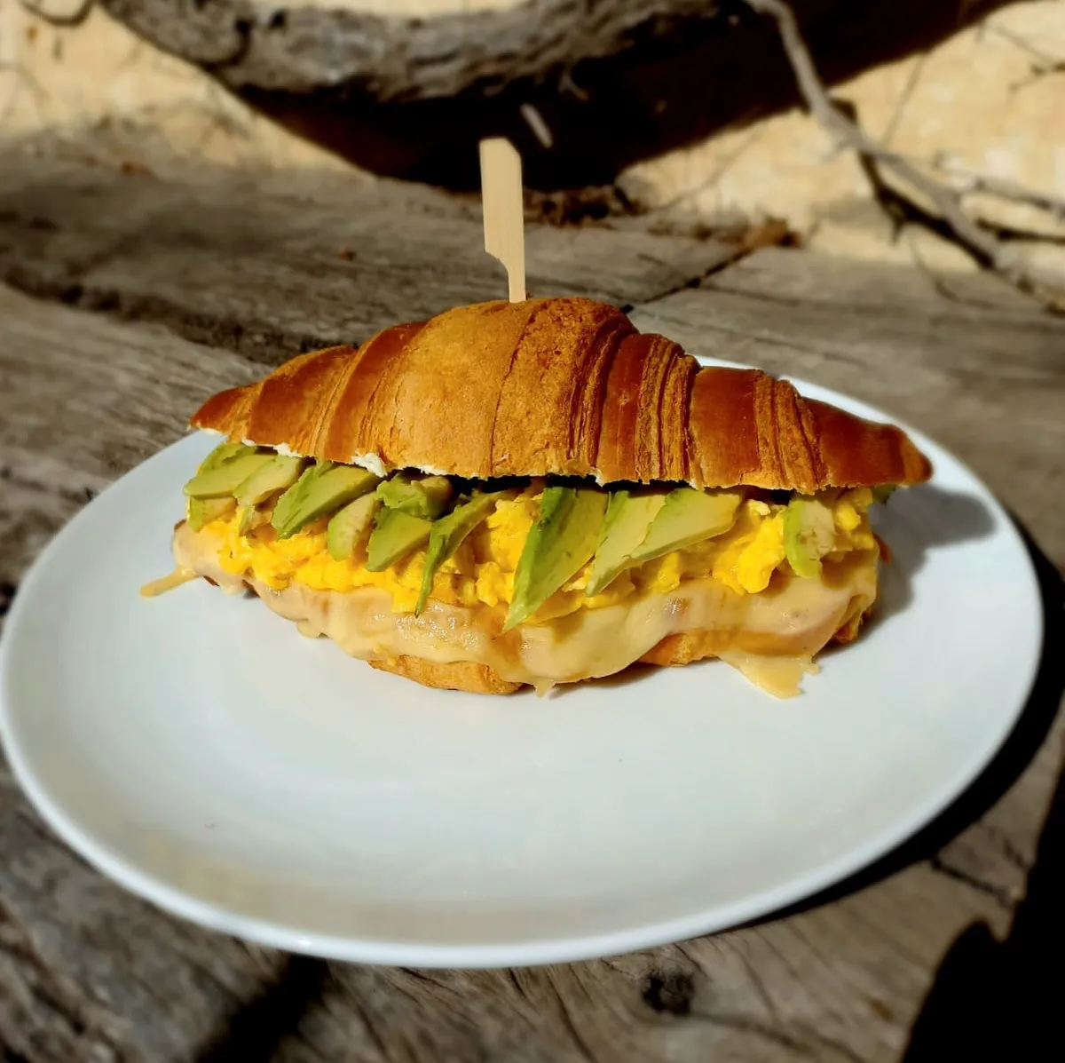 Cobber Tea Rio Tercero (7)