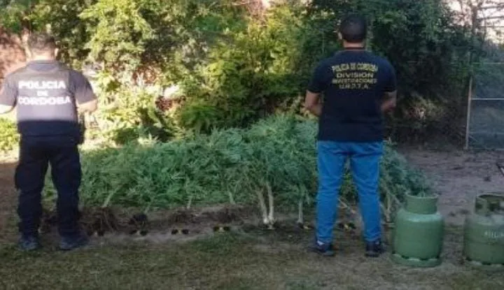 b02daaa5-1755-4a63-8b11-344122d21786